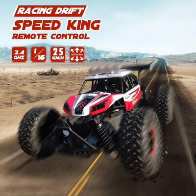 

RC Car 116 Scale 24Ghz Remote Control Car Off Road RC Trucks with Rechargeable Battery Racing Toy Car for Kids