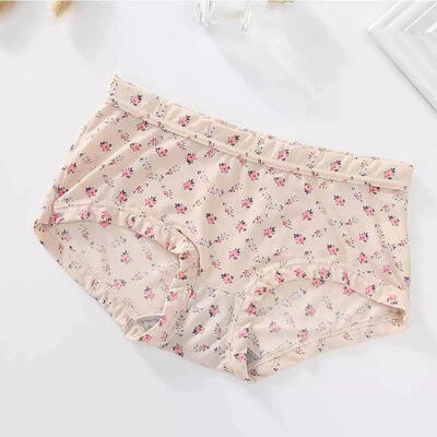

Panties for Women Ice Silk Sexy Lingerie Low Waist Print Underwear Girl Casual Briefs Female Underpants Ladies Panty