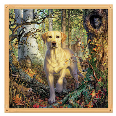 

Toponeto Embroidery Paintings Rhinestone Pasted DIY Diamond Painting Cross Stitch