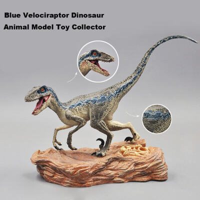 

〖Follure〗Blue Velociraptor Dinosaur Action Figure With Base Animal Model Toy Collector