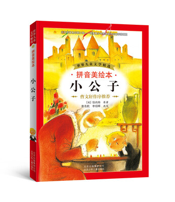 

世界儿童文学精选：小公子（拼音美绘本）