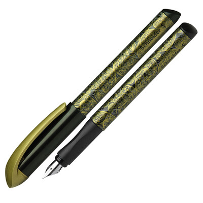 

Schneider pen pen pen pen студенты со взрослым письмом, практикующим кончик пера F tip Voice Kingdee