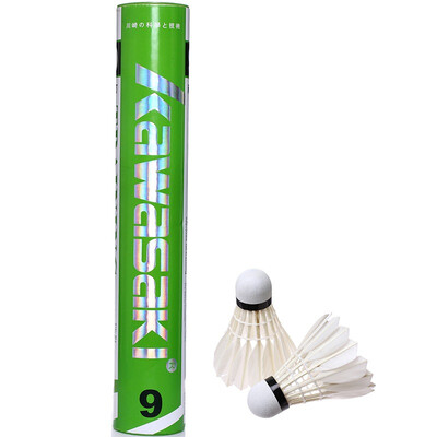 

KAWASAKI Kawasaki Badminton Training Level