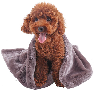 

HANHANLEYUAN dog blanket pet nest pad sleeping dog dog blanket cat coral velvet Teddy mattress spring&autumn warm dog quilt color random