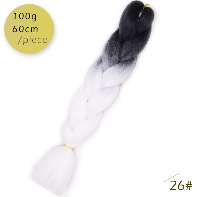 

AISI HAIR 100g/pcs 24inch Kanekalon Jumbo Braids Hair Ombre Two Tone Colored Synthetic Hair for Dolls Crochet Hair