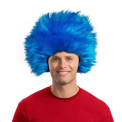 

Outdoor Childrens Blue Straight up in The Air Wig