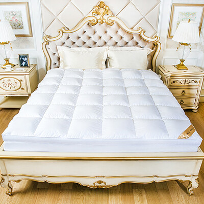 

Hongrun Elegant Baby Mattress Home Textile Cotton 50 White Goose Mattress Bedding Tatami Breathable Bed Mattress Hotel Bed Mattress Feather Mattress For 15 meters bed