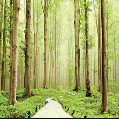 

Two Colors 3D Wall Mural Wallpaper Foresr Landscape Bedroom Home Decor Custom Photo Wall Paper Natural Mural Wall Contact Papers