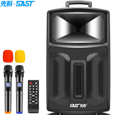 

Yushchenko SAST ST-1702W 15 inch variable frequency portable mobile outdoor rod active sound high power battery card square dance audio black