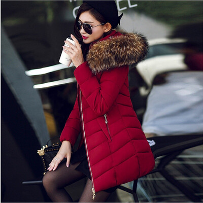 

2017 New Winter Women's Coat Long Cotton Big Fur Collar Coat Padded Down Jacket