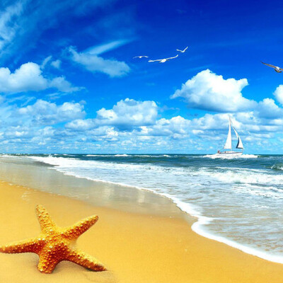 

Custom Beach Scenery Starfish Blue Sky 3D Photo Background Computer Printed Living Room TV Photography Backdrop Mural Wallpaper