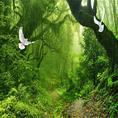 

Пользовательские 3D обои Фрески Virgin Forest Green Forest Tree Modern 3D Living Room TV Back Home Настенная роспись Нетканые обои
