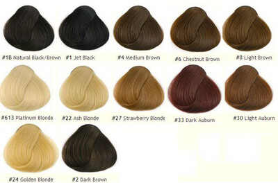 

8A Premium Quality 12"-24" Silk straight 100 Indian Remy Human Hair Front Lace Wig 4 Colors