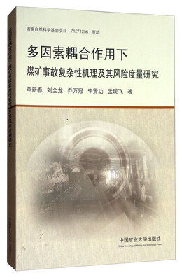 

多因素耦合作用下煤矿事故复杂性机理及其风险度量研究