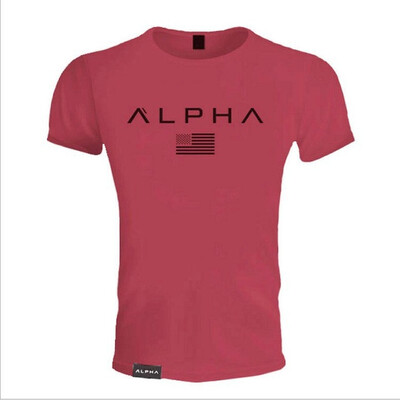 

Mens breathable cotton gyms T-shirt short-sleeved body building muscle brothers mens tee shirts pullovers crossfit work out