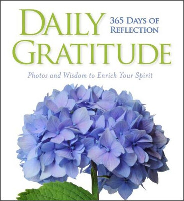 

Daily Gratitude 365 Days of Reflection