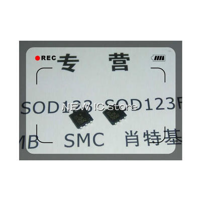 

Free Shipping 100pcs/lot DS2406P DS2406 TSOC-6
