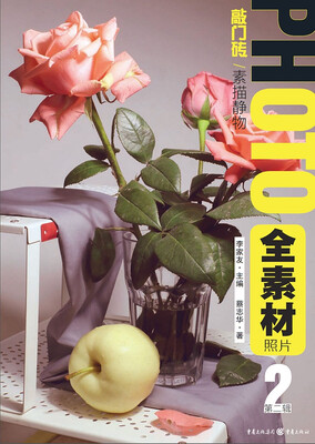 

全素材照片·第二辑：素描静物