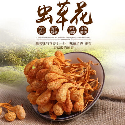 

Organic Premium Super Large Mushroom Cordyceps Militaris Fungus Chong Cao Hua