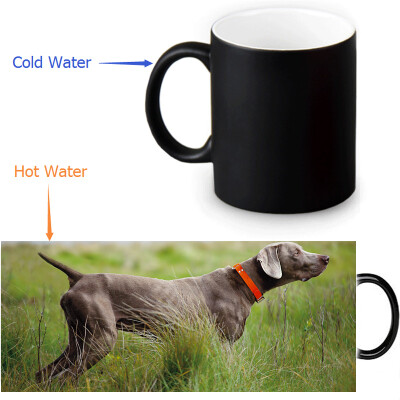 

Weimaraner 350ml12oz Heat Reveal Mug Color Change Coffee Cup Sensitive Morphing Mugs Magic Mug Milk Tea Cups