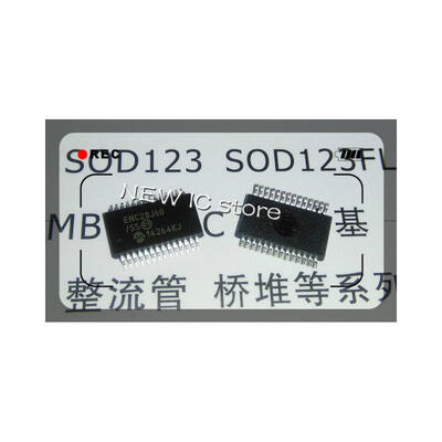 

FREE SHIPPING 1PCS ENC28J60/SS ENC28J60 SSOP-28 NEW IC