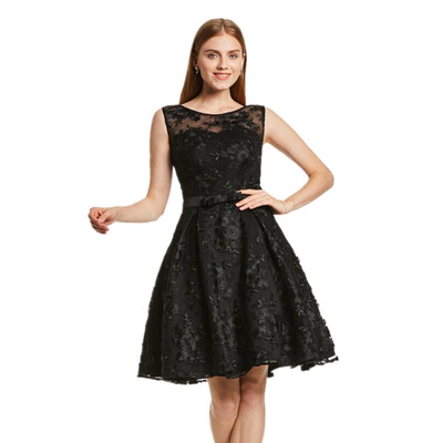 

CAZDZY Scoop Neck Sleeveless Lace A Line Homecoming Dress