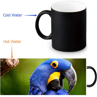 

Parrot 350ml12oz Heat Reveal Mug Color Change Coffee Cup Sensitive Morphing Mugs Magic Mug Milk Tea Cups