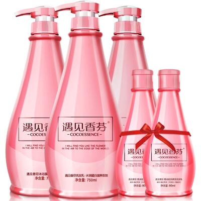 

Meet Ensemble C1 Shampoo 750ML Conditioner 750ML Shower Gel 750ML Three-in-one Shampoo 80ML2