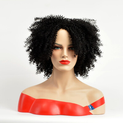 

QianBaiHui Short Wigs for Black Women Afro Kinky Curly Wigs African American Hair Wig Heat Resistant Synthetic Wigs with Wig Cap