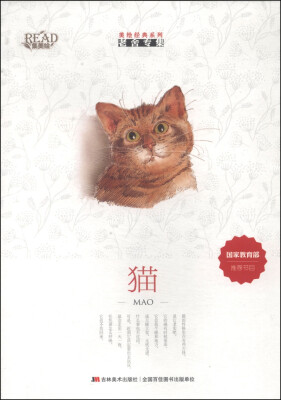 

美绘经典系列·老舍专集：猫