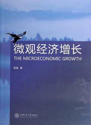 

微观经济增长