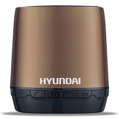 

Modern HYUNDAI i80 champagne gold wireless Bluetooth speaker voice calls TF card voice prompts call back to the lithium power supply audio