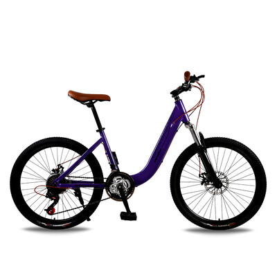 

Aluminum Alloy 24 inch bicycle lady students 21 speed 24 speed 27 speed mountain bike bicycle adult double brake damping
