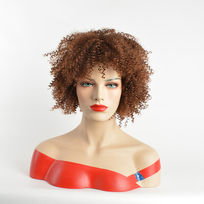 

QianBaiHui Afro Wigs Short Kinky Curly Wig for Black Women African American Hair Heat Resistant Fiber Full Wigs with Wig Cap