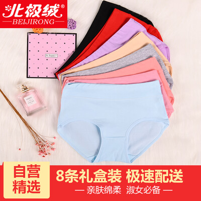 

Arctic velvet 8 loaded ladies underwear female cotton summer waist briefs shorts physical comfort seamless underwear gift box XL