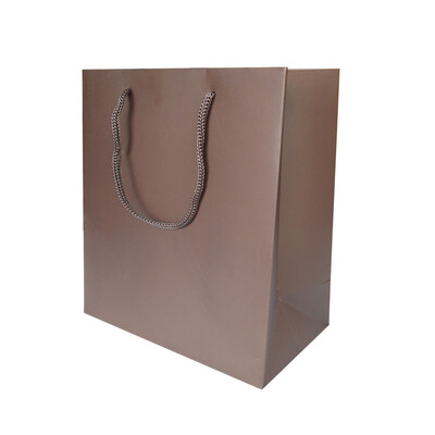 

Jinghui Sitron JH0457 Kraft paper gift bag gift bag paper tote bag large 10 packs of brown