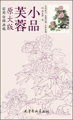 

芙蓉小品（原大版 实用白描画稿）