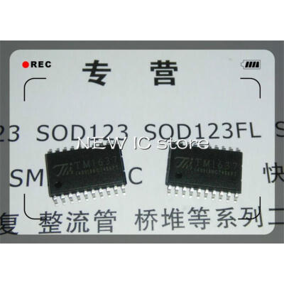 

200PCS TM1637 SOP20 IC Original new in stock