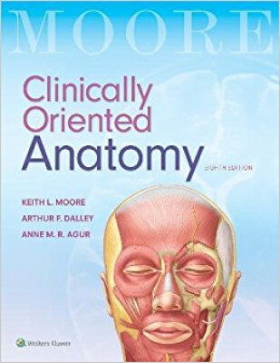 

Clinically Oriented Anatomy International Edition