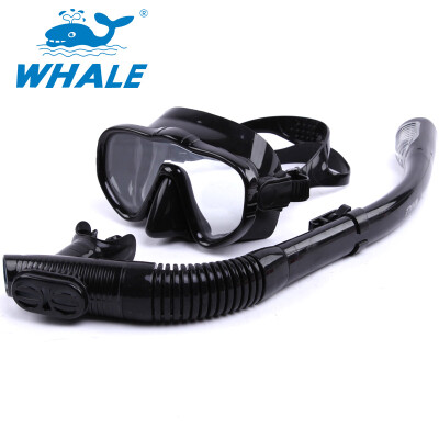 

Whale Brand Высококачественная подводная маска Snorkel с широким обзором маски для подводного плавания и набором для подводного плавания