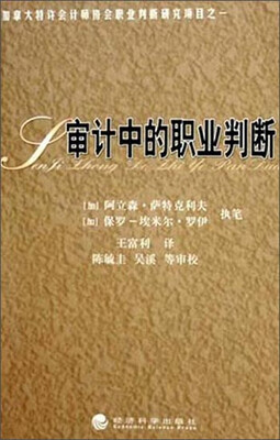 

审计中的职业判断