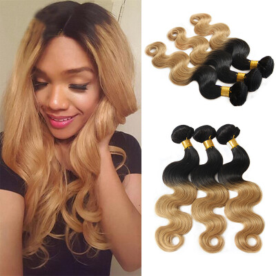 

Nami Hair Ombre Color T1B27 Brazilian Human Hair Bundles Body Wave 3 Pieces 100 Human Hair Extensions