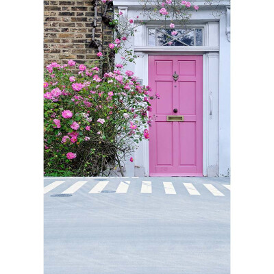 

Pink Courtyard Door Photo Background 57FT Vinyl Fabric Cloth Digital Printing Wedding Backdrop S-3068