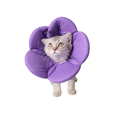 

Pet Collar Elizabethan Collars Recovery Pet Cone for Cats&Small Dogs Breathable Soft Edge&Easy to Clean