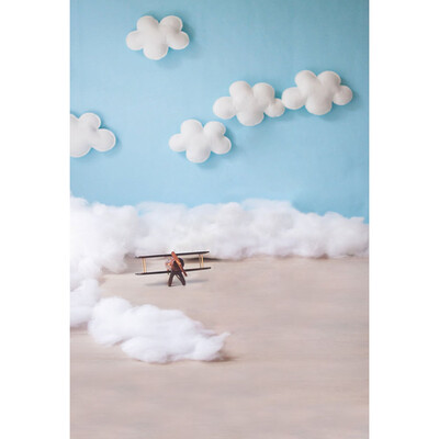 

Dragonfly&White clouds Cartoon Background 57FT Vinyl Fabric Cloth Digital Printing Photo Studio Backdrop -3040