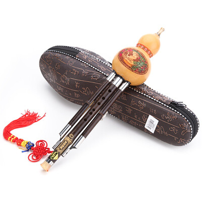 

Jingdong supermarket] Dai Ling natural gourd Zizhu rod two tone Hulusi C tune 836