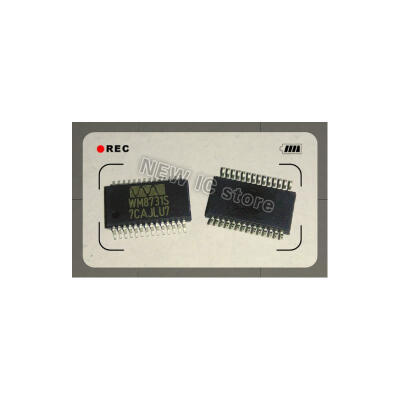 

10pcs/lot IC new original WM8731 WM8731SEDS WM8731S SSOP28 Free Shipping