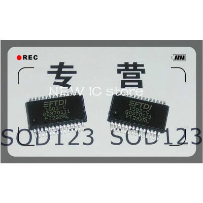 

30pcs/lot FT232RL FT232 SSOP-28 Original authentic and new Free Shipping IC