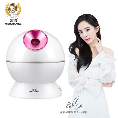 

Golden rice KINGDOM steam face beauty instrument cold&hot spray ion deep moisturizing KD-2331-3