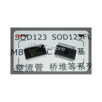 

FREE SHIPPING 2PCS ENC28J60/SS ENC28J60 SSOP-28 NEW IC